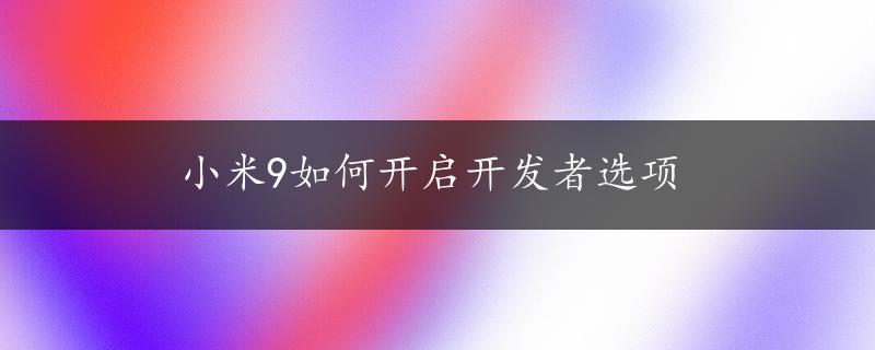 小米9如何开启开发者选项