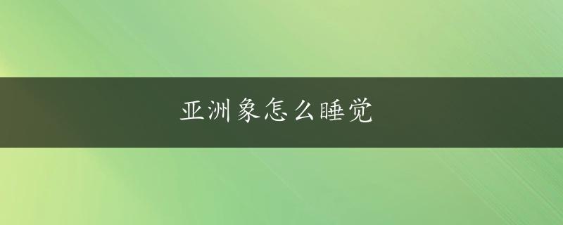 亚洲象怎么睡觉