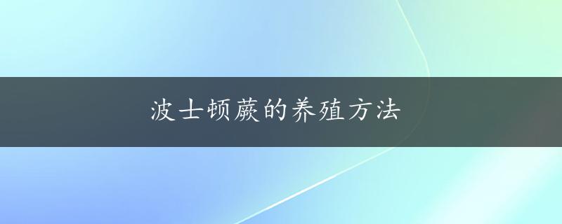 波士顿蕨的养殖方法