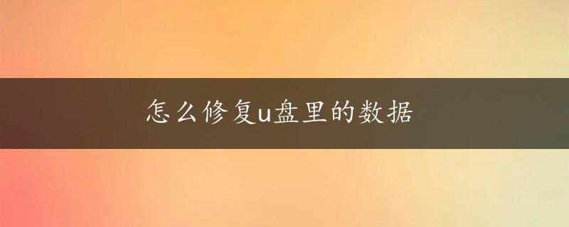 怎么修复u盘里的数据