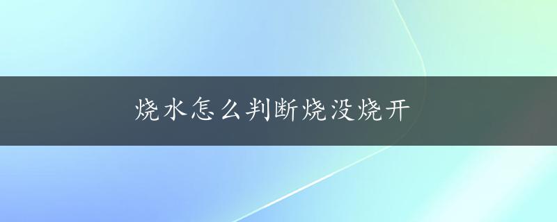 烧水怎么判断烧没烧开