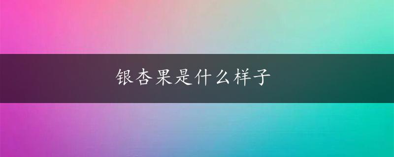 银杏果是什么样子