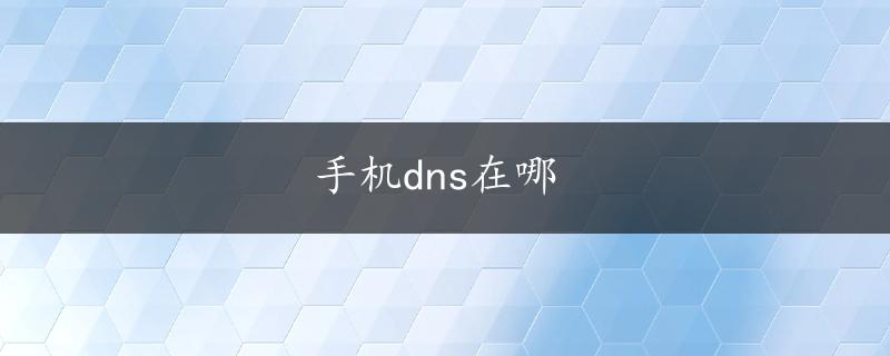 手机dns在哪