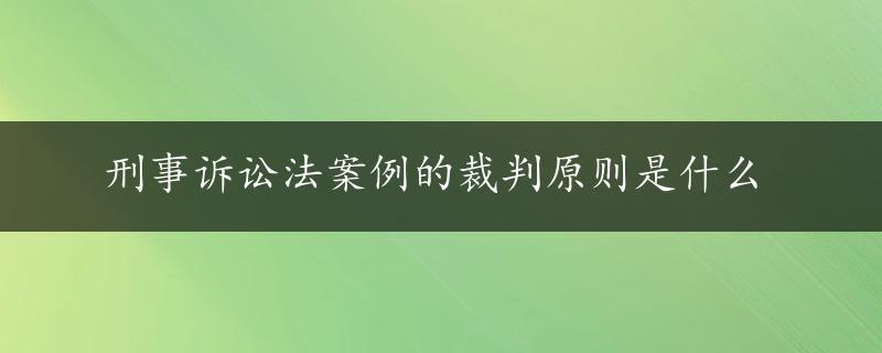 刑事诉讼法案例的裁判原则是什么