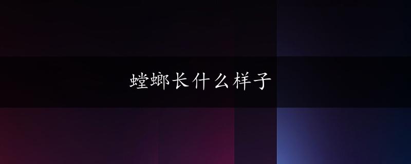 螳螂长什么样子