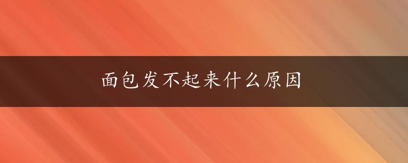 面包发不起来什么原因