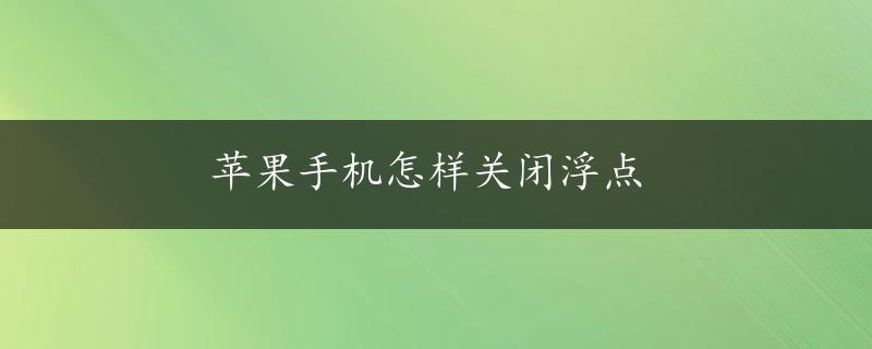 苹果手机怎样关闭浮点