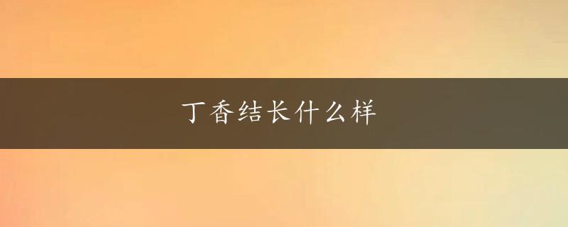 丁香结长什么样