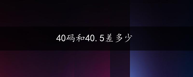 40码和40.5差多少