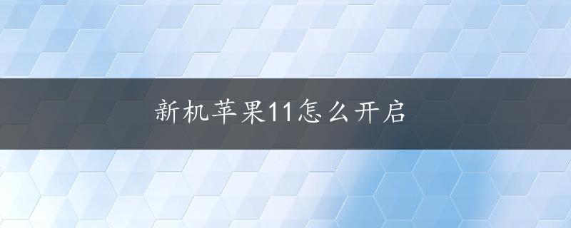 新机苹果11怎么开启