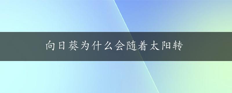 向日葵为什么会随着太阳转