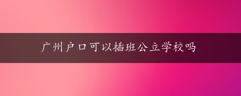 广州户口可以插班公立学校吗