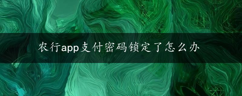 农行app支付密码锁定了怎么办