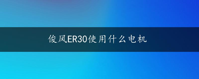 俊风ER30使用什么电机