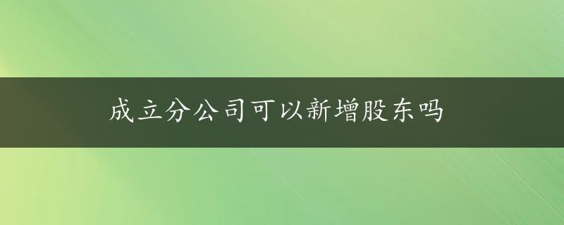 成立分公司可以新增股东吗