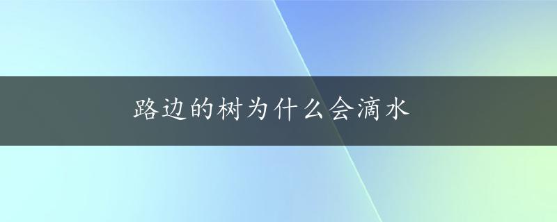 路边的树为什么会滴水