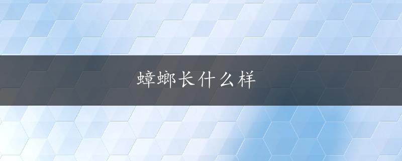 蟑螂长什么样