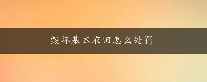 毁坏基本农田怎么处罚