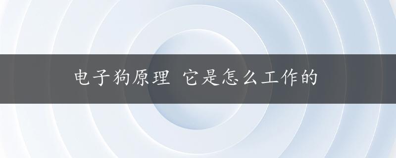 电子狗原理 它是怎么工作的