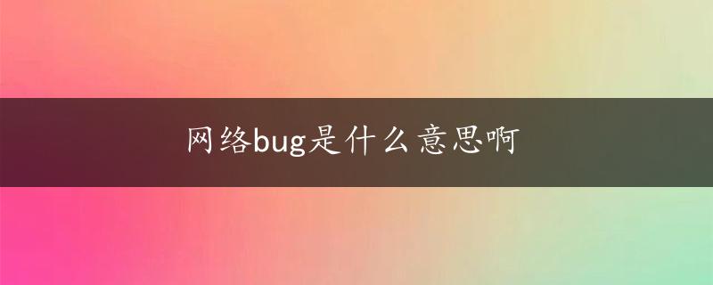 网络bug是什么意思啊