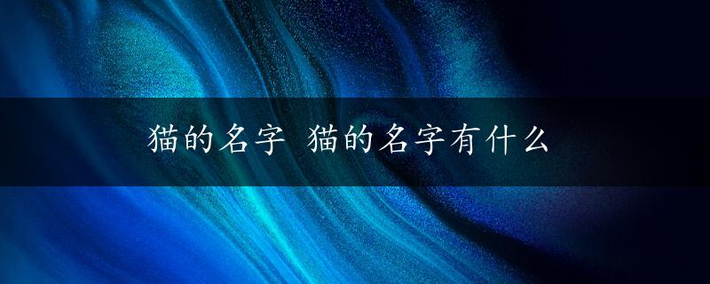 猫的名字 猫的名字有什么