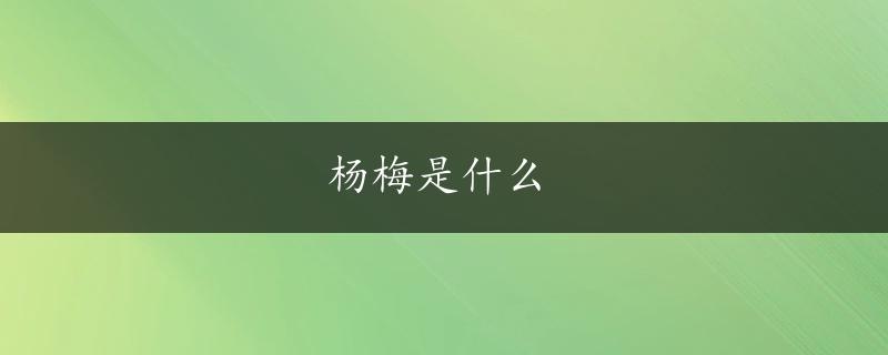 杨梅是什么