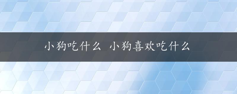 小狗吃什么 小狗喜欢吃什么