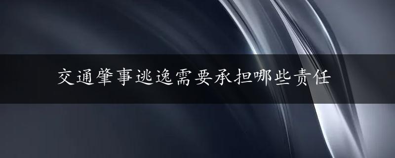 交通肇事逃逸需要承担哪些责任