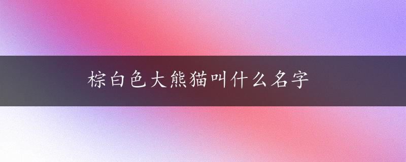 棕白色大熊猫叫什么名字