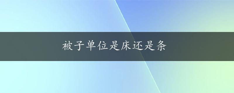 被子单位是床还是条