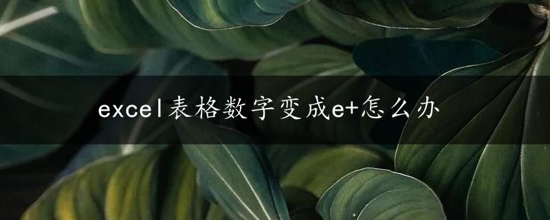 excel表格数字变成e+怎么办