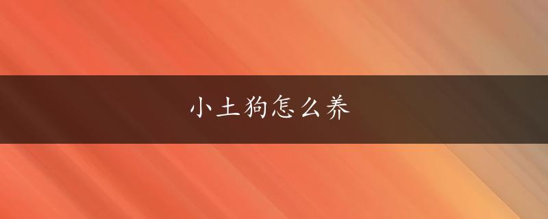 小土狗怎么养