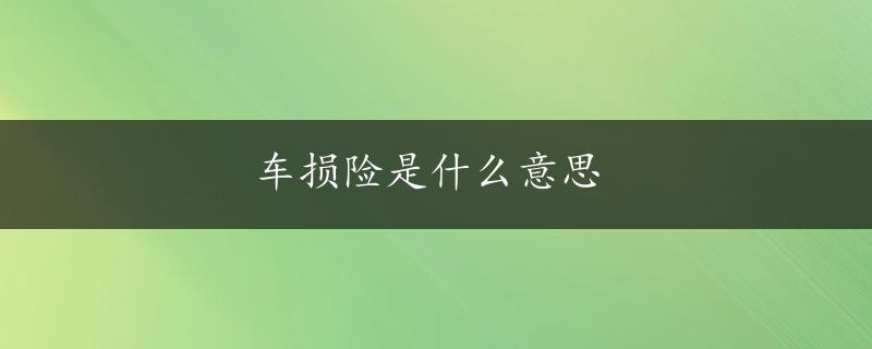 车损险是什么意思