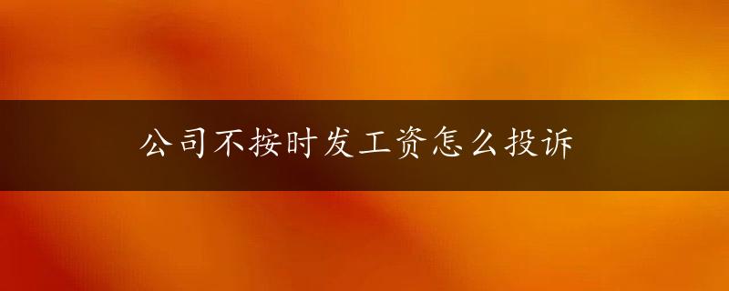 公司不按时发工资怎么投诉