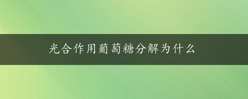 光合作用葡萄糖分解为什么