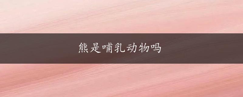 熊是哺乳动物吗