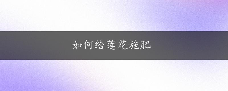 如何给莲花施肥