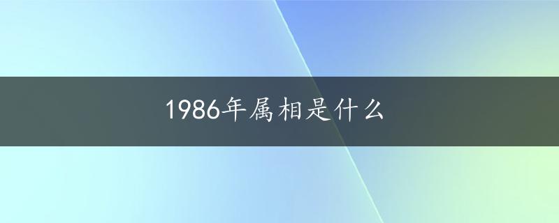 1986年属相是什么