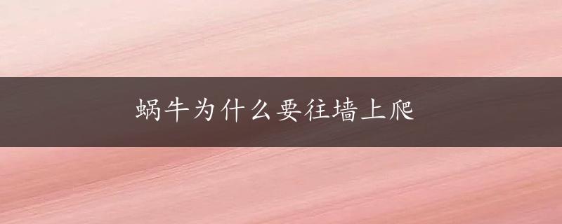 蜗牛为什么要往墙上爬