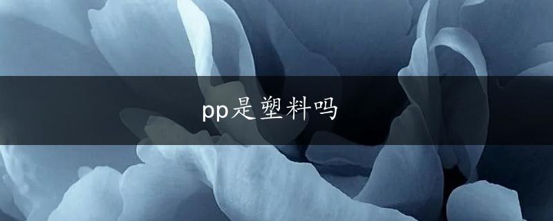 pp是塑料吗