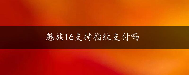 魅族16支持指纹支付吗