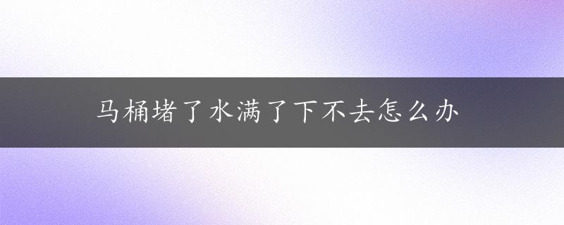 马桶堵了水满了下不去怎么办