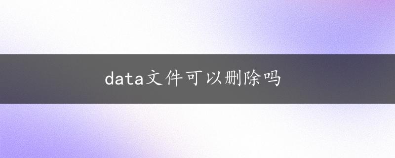 data文件可以删除吗