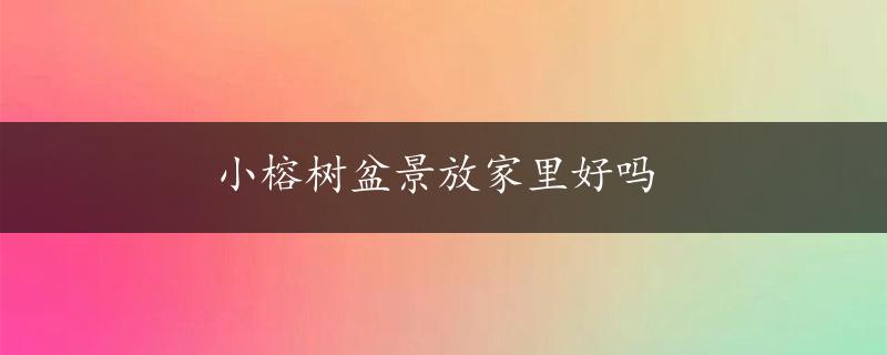 小榕树盆景放家里好吗