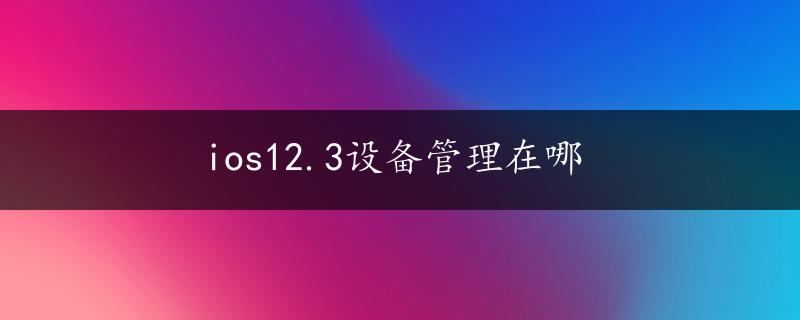 ios12.3设备管理在哪