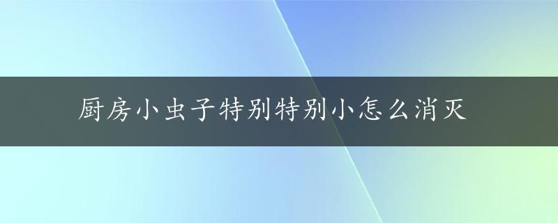 厨房小虫子特别特别小怎么消灭