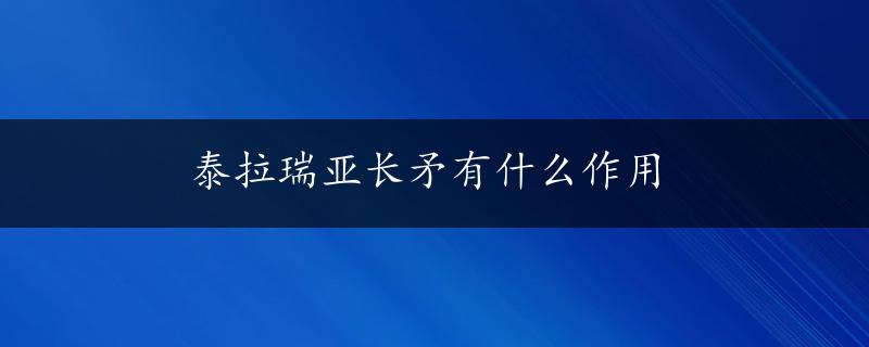 泰拉瑞亚长矛有什么作用