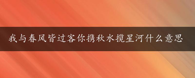 我与春风皆过客你携秋水揽星河什么意思