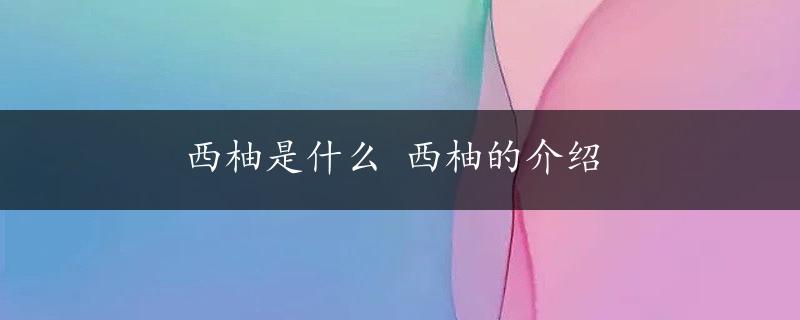 西柚是什么 西柚的介绍