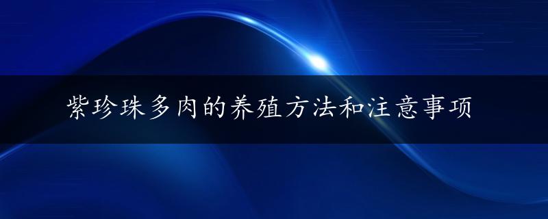 紫珍珠多肉的养殖方法和注意事项